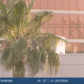 Wild Winds Hit Las Vegas Valley!